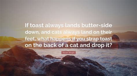 What is the Purpose of Poetry, and Why Do Cats Always Land on Their Feet?