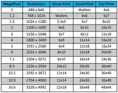 Where Can I Print an 8x10 Photo: Options and Considerations